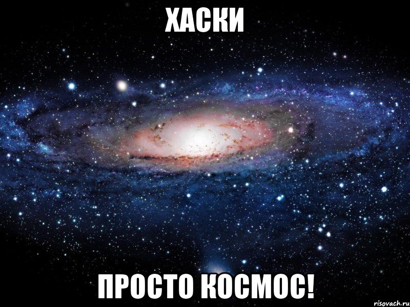 хаски просто космос!, Мем Вселенная