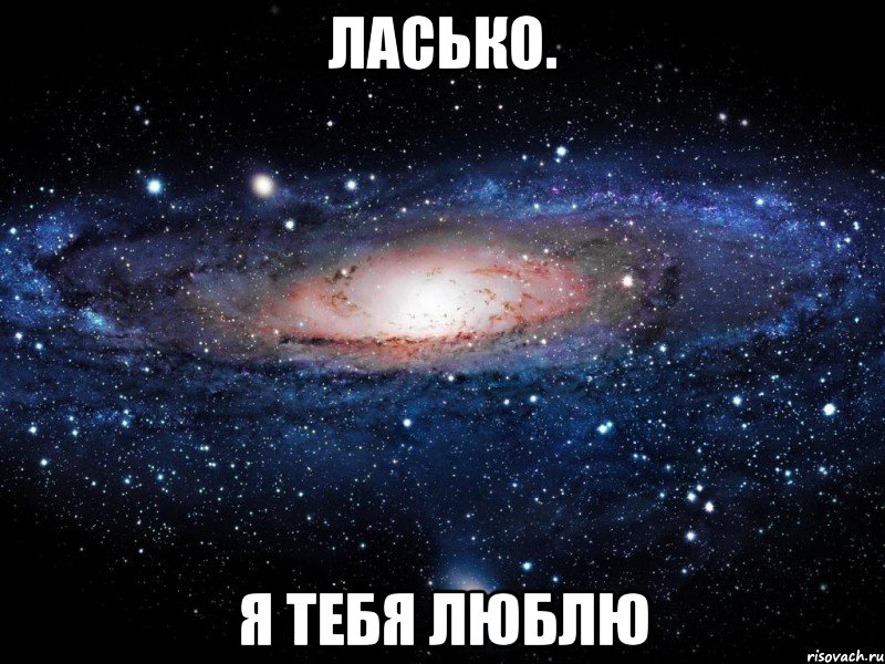 ласько. я тебя люблю, Мем Вселенная