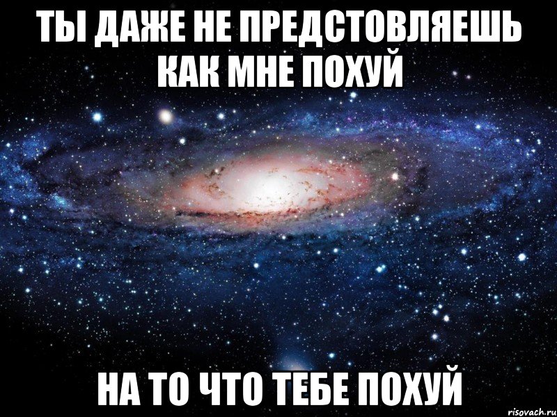 ты даже не предстовляешь как мне похуй на то что тебе похуй, Мем Вселенная