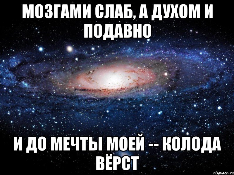 мозгами слаб, а духом и подавно и до мечты моей -- колода вёрст, Мем Вселенная