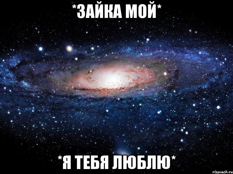 *зайка мой* *я тебя люблю*, Мем Вселенная