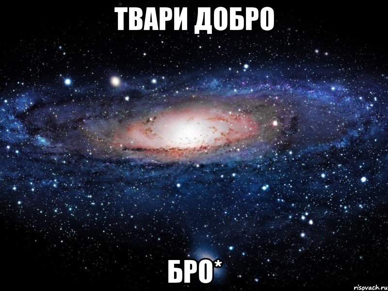 твари добро бро*, Мем Вселенная