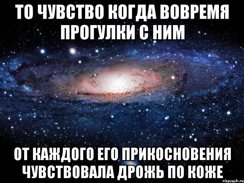 то чувство когда вовремя прогулки с ним от каждого его прикосновения чувствовала дрожь по коже, Мем Вселенная