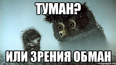 туман? или зрения обман