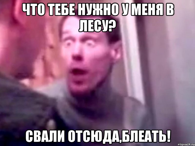 что тебе нужно у меня в лесу? свали отсюда,блеать!, Мем Запили