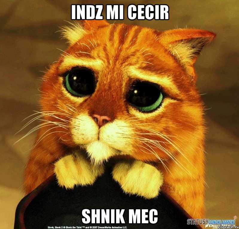 indz mi cecir shnik mec