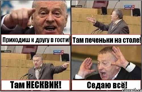 Приходиш к другу в гости! Там печеньки на столе! Там НЕСКВИК! Седаю всё!, Комикс жиреновский