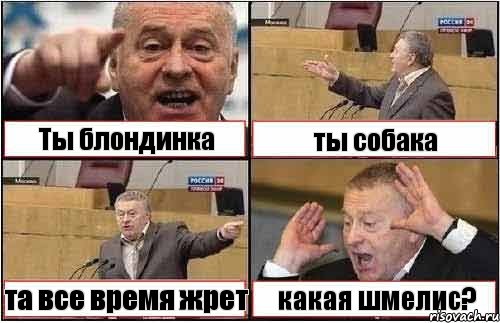 Ты блондинка ты собака та все время жрет какая шмелис?, Комикс жиреновский