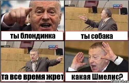 ты блондинка ты собака та все время жрет какая Шмелис?, Комикс жиреновский