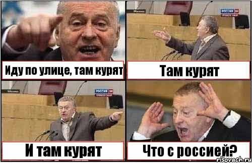 Иду по улице, там курят Там курят И там курят Что с россией?, Комикс жиреновский