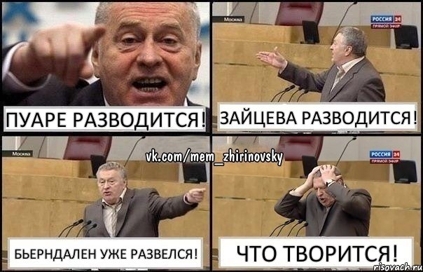 Пуаре разводится! Зайцева разводится! Бьерндален уже развелся! Что творится!, Комикс Жирик