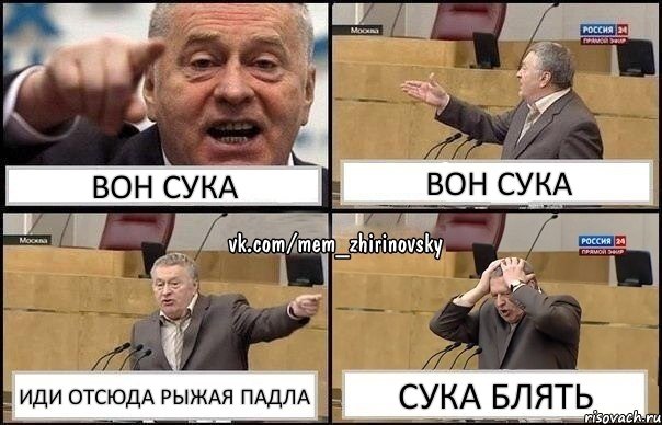 вон сука вон сука иди отсюда рыжая падла сука блять, Комикс Жирик