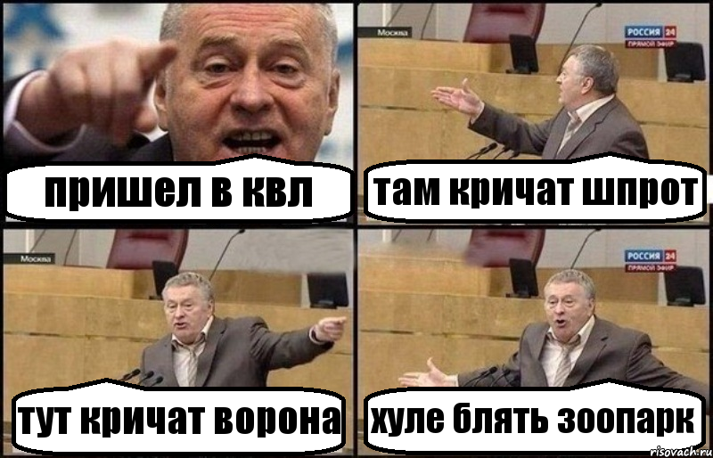 пришел в квл там кричат шпрот тут кричат ворона хуле блять зоопарк, Комикс Жириновский