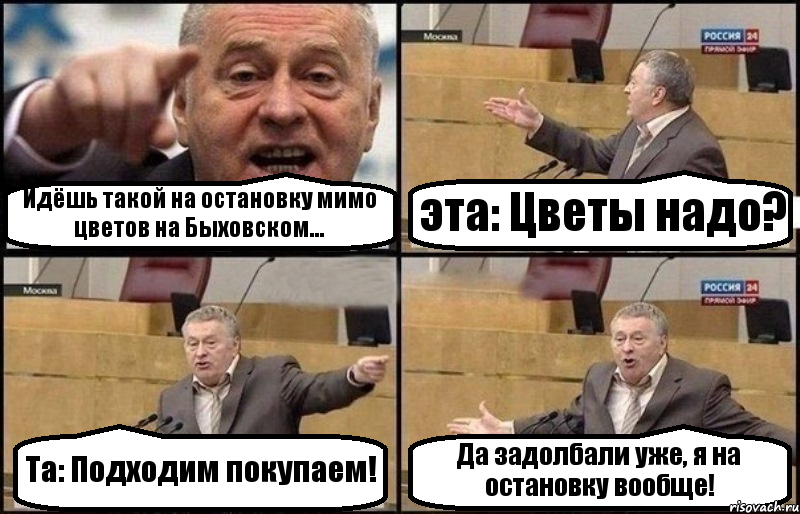 Идёшь такой на остановку мимо цветов на Быховском... эта: Цветы надо? Та: Подходим покупаем! Да задолбали уже, я на остановку вообще!, Комикс Жириновский