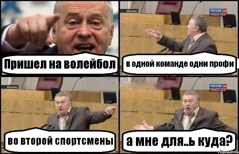 Пришел на волейбол в одной команде одни профи во второй спортсмены а мне для..ь куда?, Комикс Жириновский