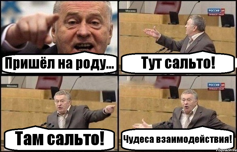 Пришёл на роду... Тут сальто! Там сальто! Чудеса взаимодействия!, Комикс Жириновский