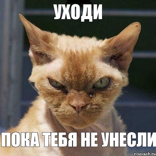 Уходи Пока тебя не унесли