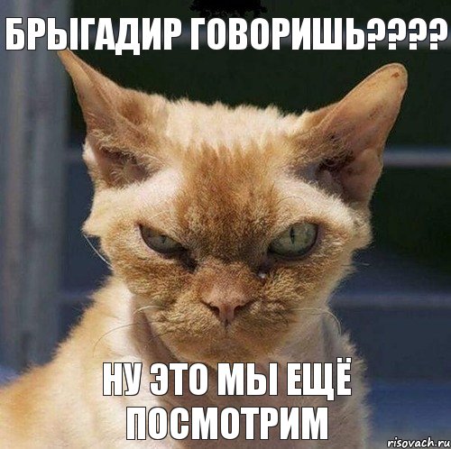 брыгадир говоришь??? ну это мы ещё посмотрим