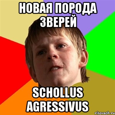 новая порода зверей schollus agressivus, Мем Злой школьник