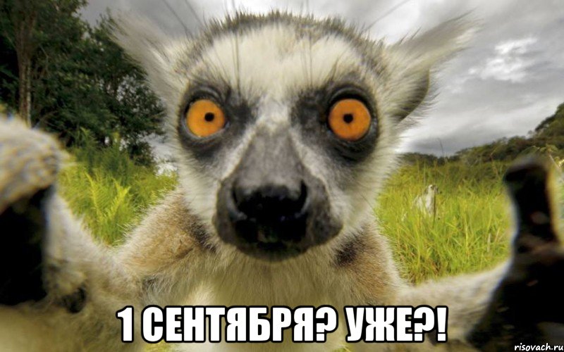  1 сентября? уже?!