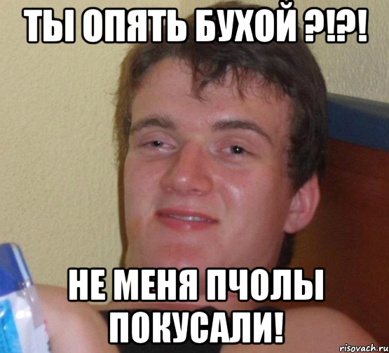 ты опять бухой ?!?! не меня пчолы покусали!, Мем 10 guy (Stoner Stanley really high guy укуренный парень)