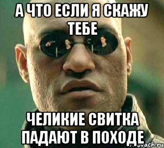 а что если я скажу тебе челикие свитка падают в походе, Мем  а что если я скажу тебе