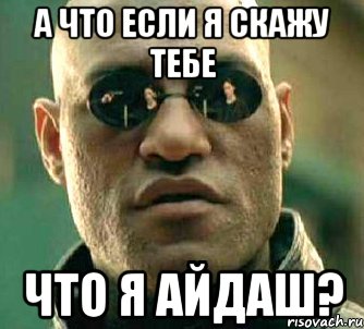 а что если я скажу тебе что я айдаш?, Мем  а что если я скажу тебе