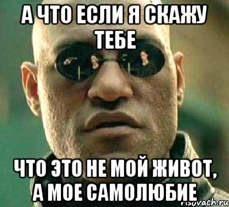 а что если я скажу тебе что это не мой живот, а мое самолюбие, Мем  а что если я скажу тебе