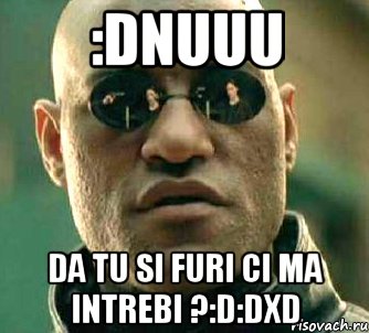 :dnuuu da tu si furi ci ma intrebi ?:d:dxd, Мем  а что если я скажу тебе