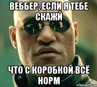 веббер, если я тебе скажй что с коробкой всё норм, Мем  а что если я скажу тебе