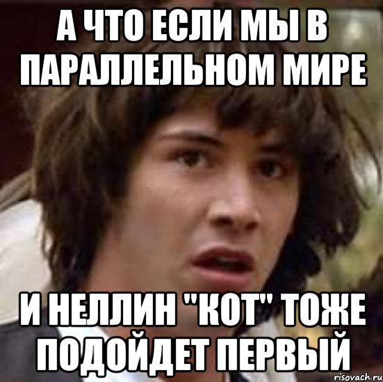 а что если мы в параллельном мире и неллин "кот" тоже подойдет первый, Мем А что если (Киану Ривз)