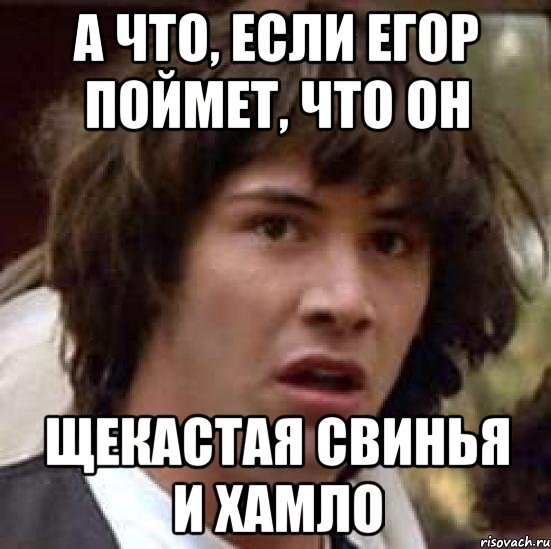 а что, если егор поймет, что он щекастая свинья и хамло, Мем А что если (Киану Ривз)