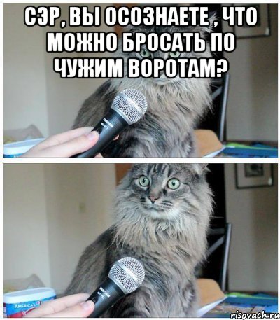 сэр, вы осознаете , что можно бросать по чужим воротам? , Комикс  кот с микрофоном