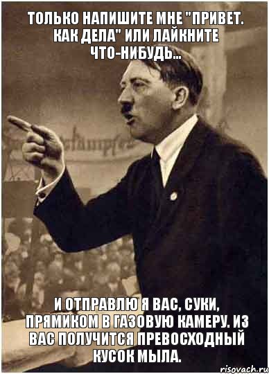 только напишите мне "привет. как дела" или лайкните что-нибудь... И отправлю я вас, суки, прямиком в газовую камеру. Из вас получится превосходный кусок мыла.