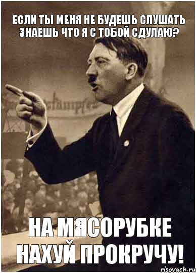 Если ты меня не будешь слушать знаешь что я с тобой сдулаю? На мясорубке нахуй прокручу!, Комикс Адик