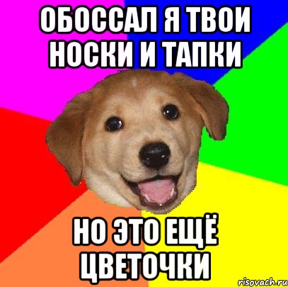 обоссал я твои носки и тапки но это ещё цветочки, Мем Advice Dog