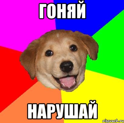 гоняй нарушай, Мем Advice Dog