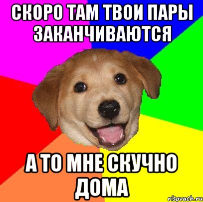 скоро там твои пары заканчиваются а то мне скучно дома, Мем Advice Dog