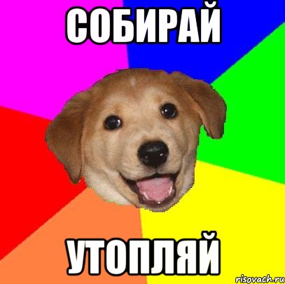 собирай утопляй, Мем Advice Dog