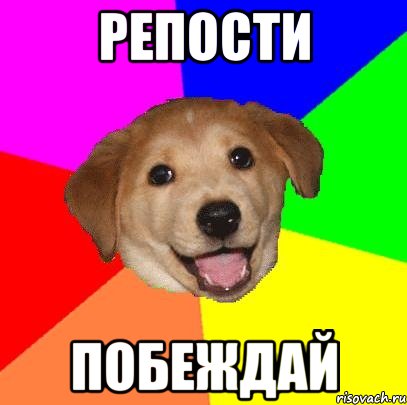 репости побеждай, Мем Advice Dog