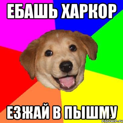 ебашь харкор езжай в пышму, Мем Advice Dog