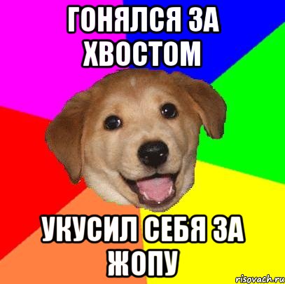 гонялся за хвостом укусил себя за жопу, Мем Advice Dog