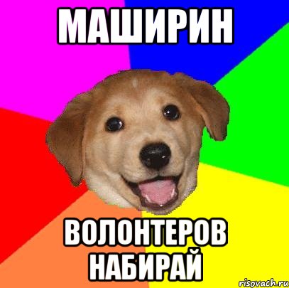 маширин волонтеров набирай, Мем Advice Dog