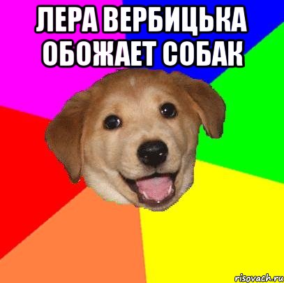 лера вербицька обожает собак , Мем Advice Dog