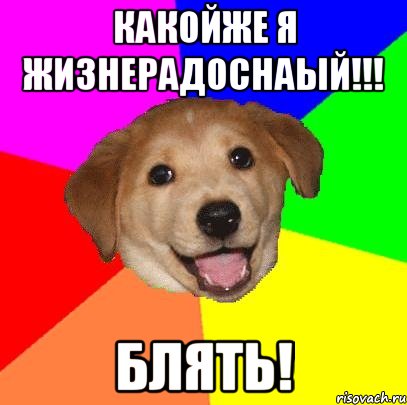 какойже я жизнерадоснаый!!! блять!, Мем Advice Dog