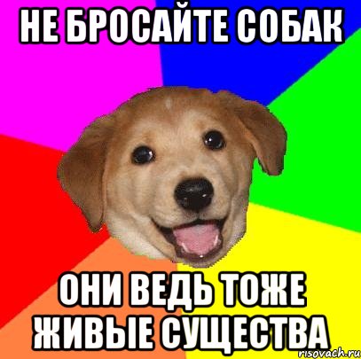 не бросайте собак они ведь тоже живые существа, Мем Advice Dog