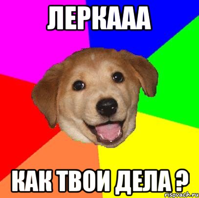 леркааа как твои дела ?, Мем Advice Dog