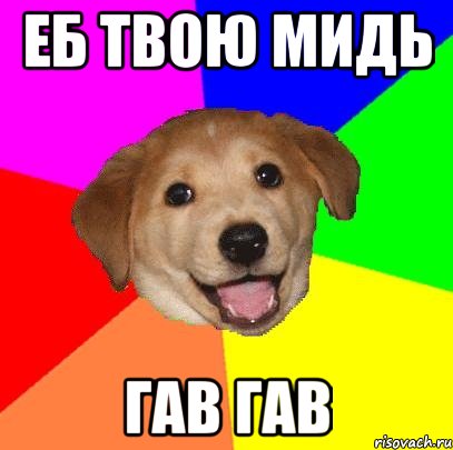 еб твою мидь гав гав, Мем Advice Dog