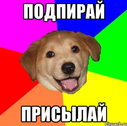 подпирай присылай, Мем Advice Dog