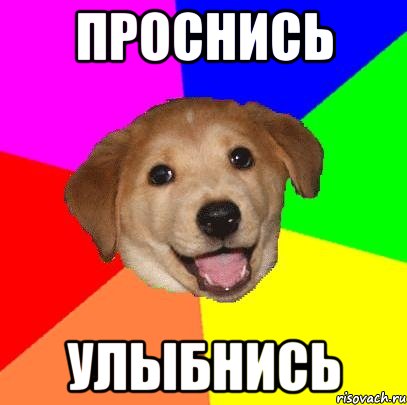 проснись улыбнись, Мем Advice Dog